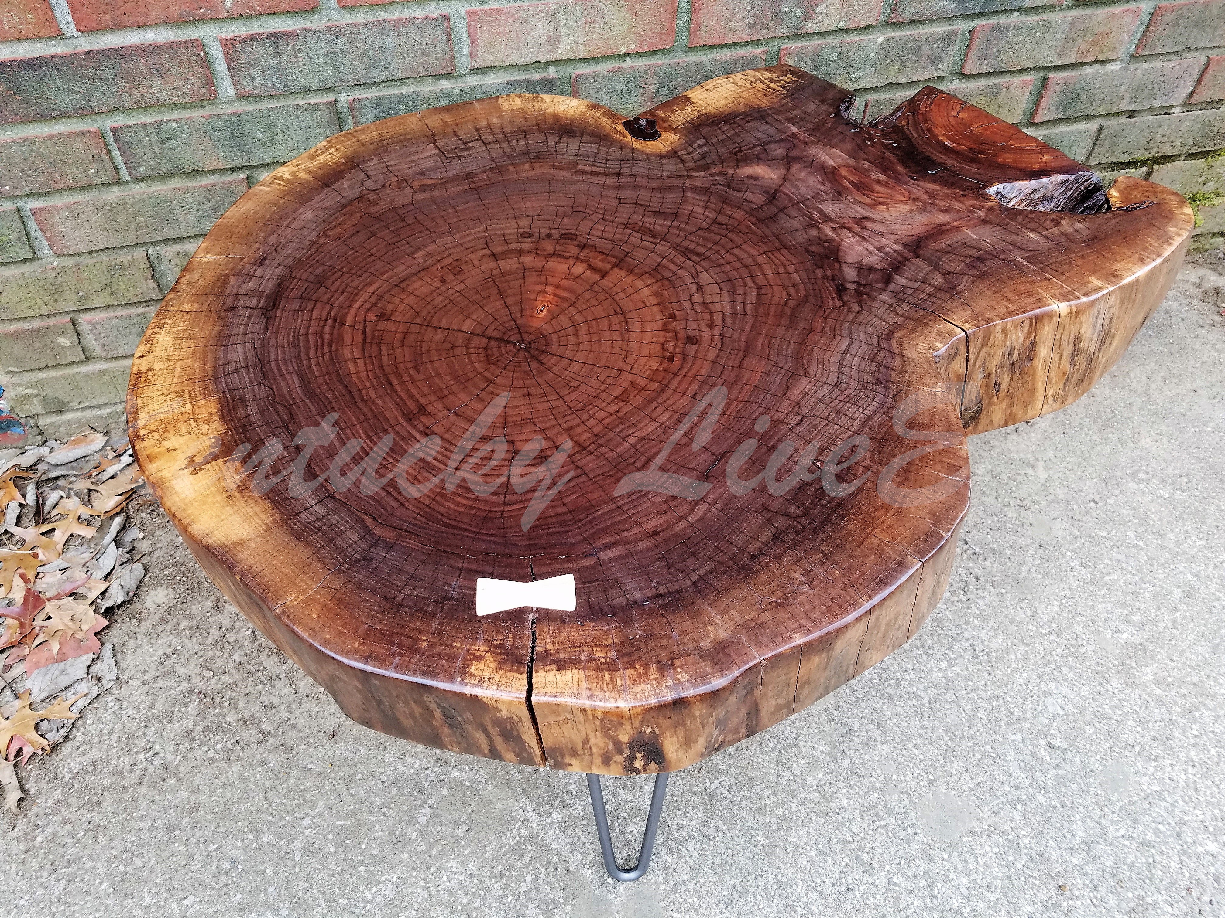 Tree Slice Ruf Table Live Edge Coffee Table- Round Table- Tree Slice- Log Table- Thick ...