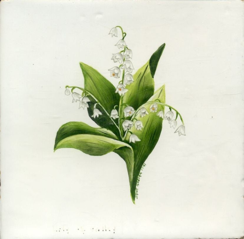 Lily Of The Valley