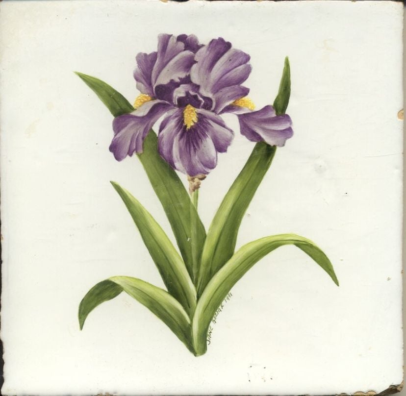 Hand Painted Iris Sample