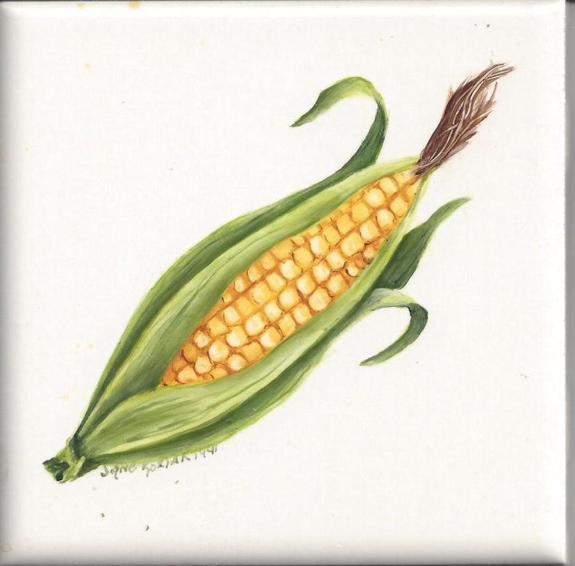4x4 Corn Ceramic Tile.