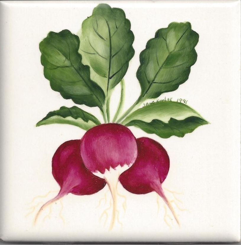 4x4 Ceramic Radish Tile