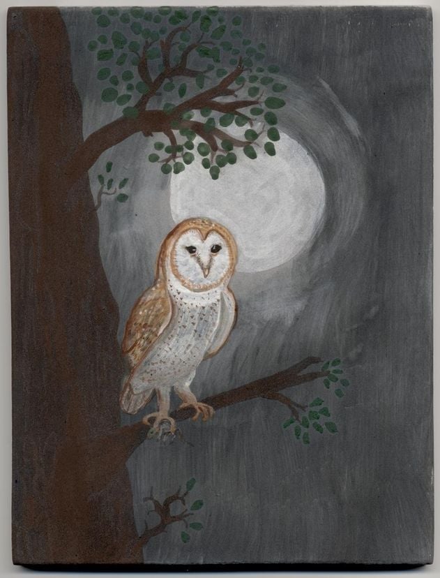 Owl Tile Or Plaque
