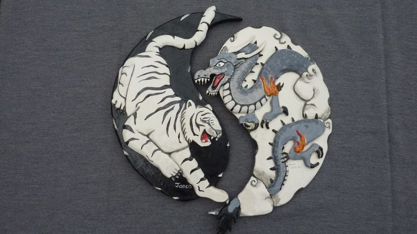 White Tiger And Black Dragon, Yin And Yang
