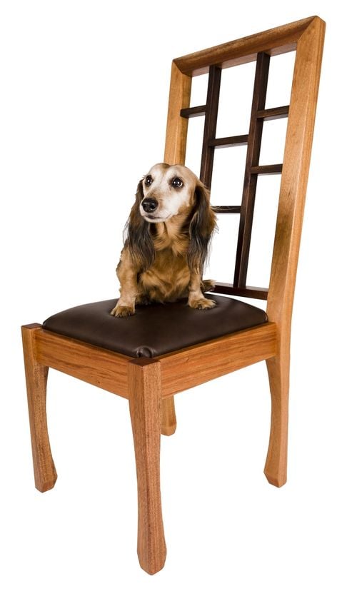 Nolan Chairs