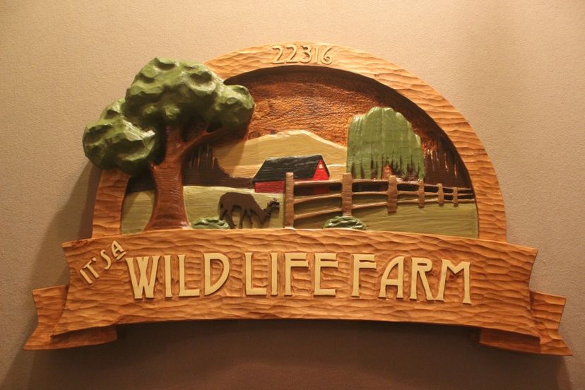 Custom Carved, Hand Made Farm Signs, Wildlife Signs, Deer Signs By Lazy River Studio