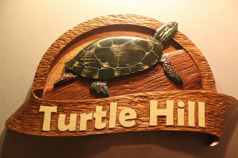 Turtle Signs, Wildlife Signs, Custom Carved Home Signs By Lazy River Studio