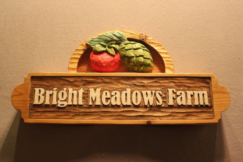 Custom Carved Wood Signs, Home Signs, Cabin Signs, Cottage Signs, Farm Signs, Business Signs