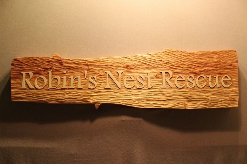 Carved Wood Signs | Custom Wooden Signs | Handmade Signs | Home Signs | Business Signs | Cabin Signs