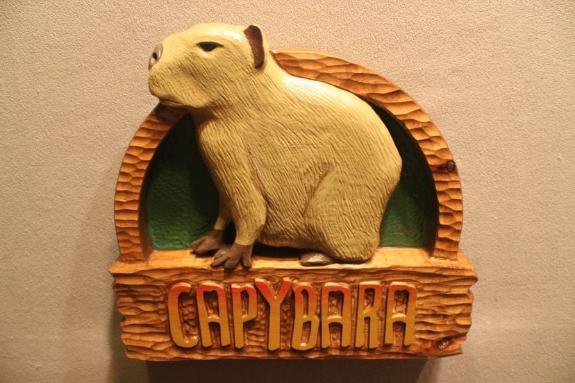 Zoo Signs | Animal Signs | Wildlife Signs | Custom Carved Wood Signs By Lazy River Studio