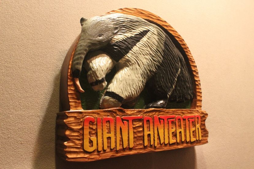Zoos Signs  | Animal Signs | Wildlife Signs | Custom Signs | Carved Signs By Lazy River Studio