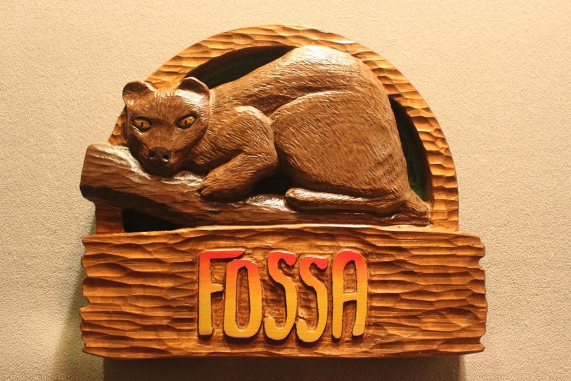 Zoo Signs | Animal Signs | Wildlife Signs | Handmade Signs | Custom Signs By Lazy River Studio
