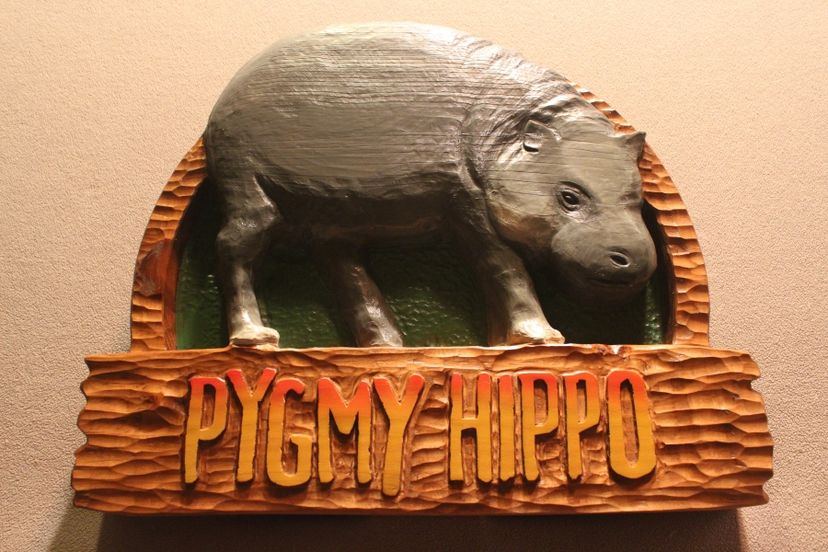 Zoo Signs | Animal Signs | Wildlife Signs | Hand Carved Custom Signs By Lazy River Studio