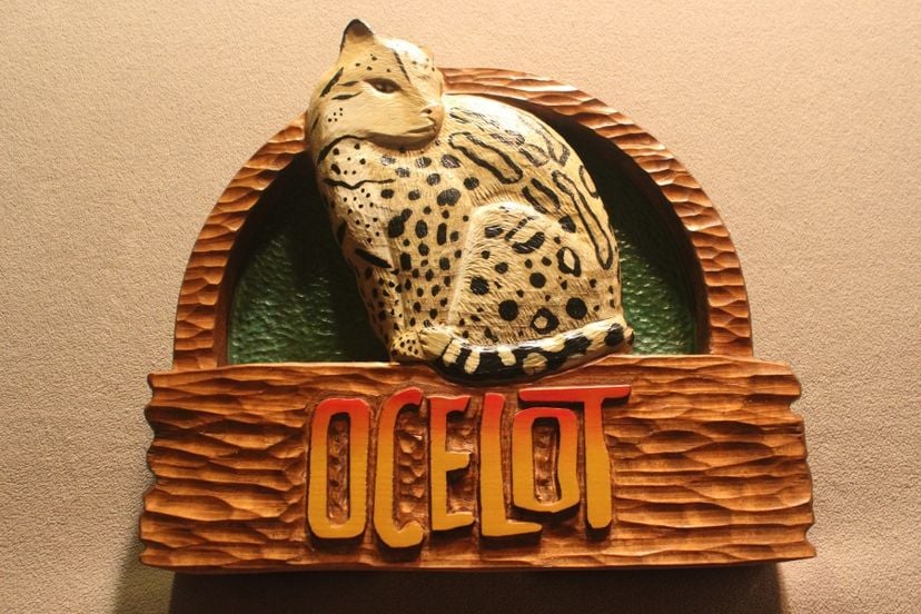 Zoo Signs | Animal Signs | Wildlife Signs | Custom Carved Wood Sign By Lazy River Studio