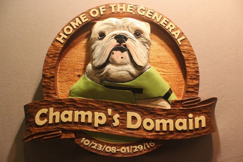 Dog Signs | Dog Memorials | Dog Carvings | Pet Signs | Pet Memorials | Pet Carving