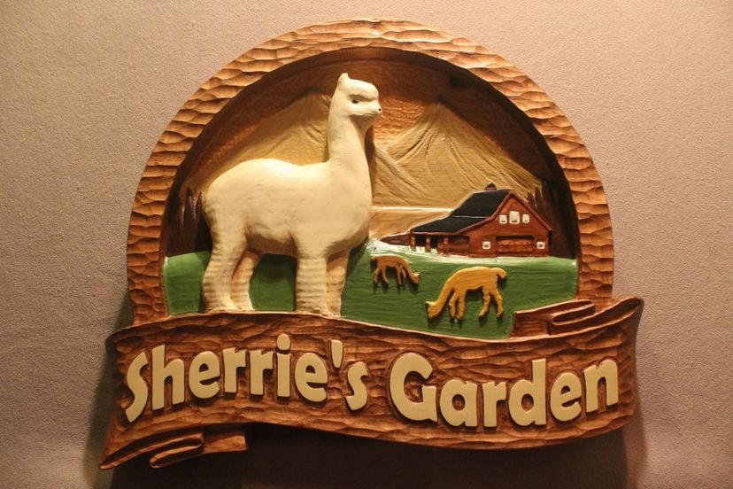 Custom Wood Signs | Carved Wooden Signs | Mountain Signs | Home Signs | Cabin Signs