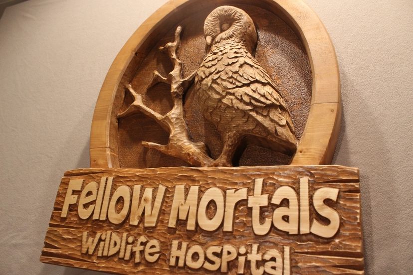 Animal Rescue Signs, Pet Signs,Business Signs, Personalized Wooden Signs, Restaurant Signs, & More