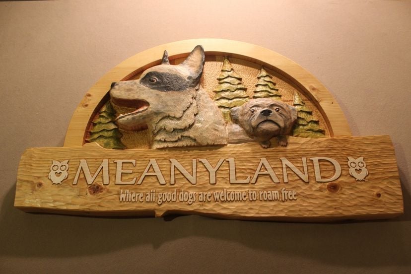 Dog Signs | Pet Signs | Dog Memorials | Home Signs|Groomers Signs|Boarding Signs
