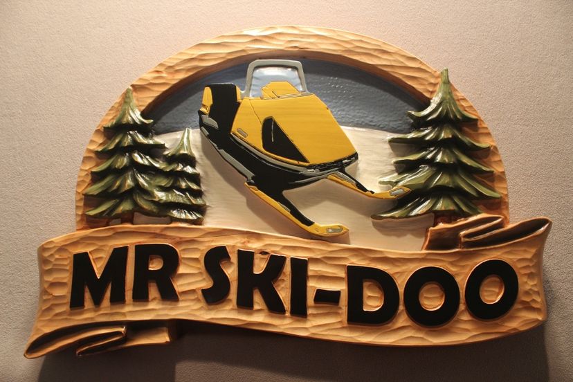Skii Signs, Snowmobile Signs, Winter Signs, Cabin Signs By Lazy River Studio