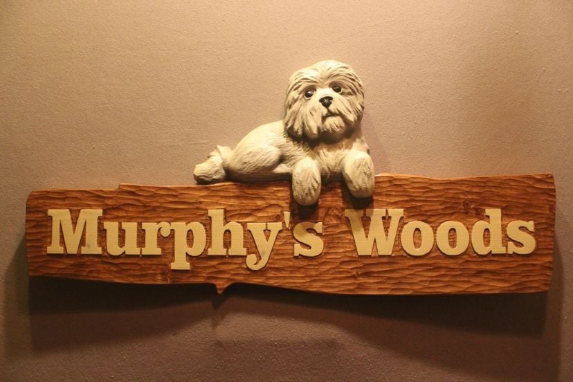 Custom Dog Signs, Carved Dog Signs, Dog Carving, Pet Signs By Lazy River Studio