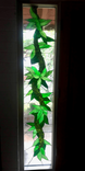 Botanical Stained Glass Entryway Sidelights And Transom Windows- Mokihana and Maile Lei 3 small