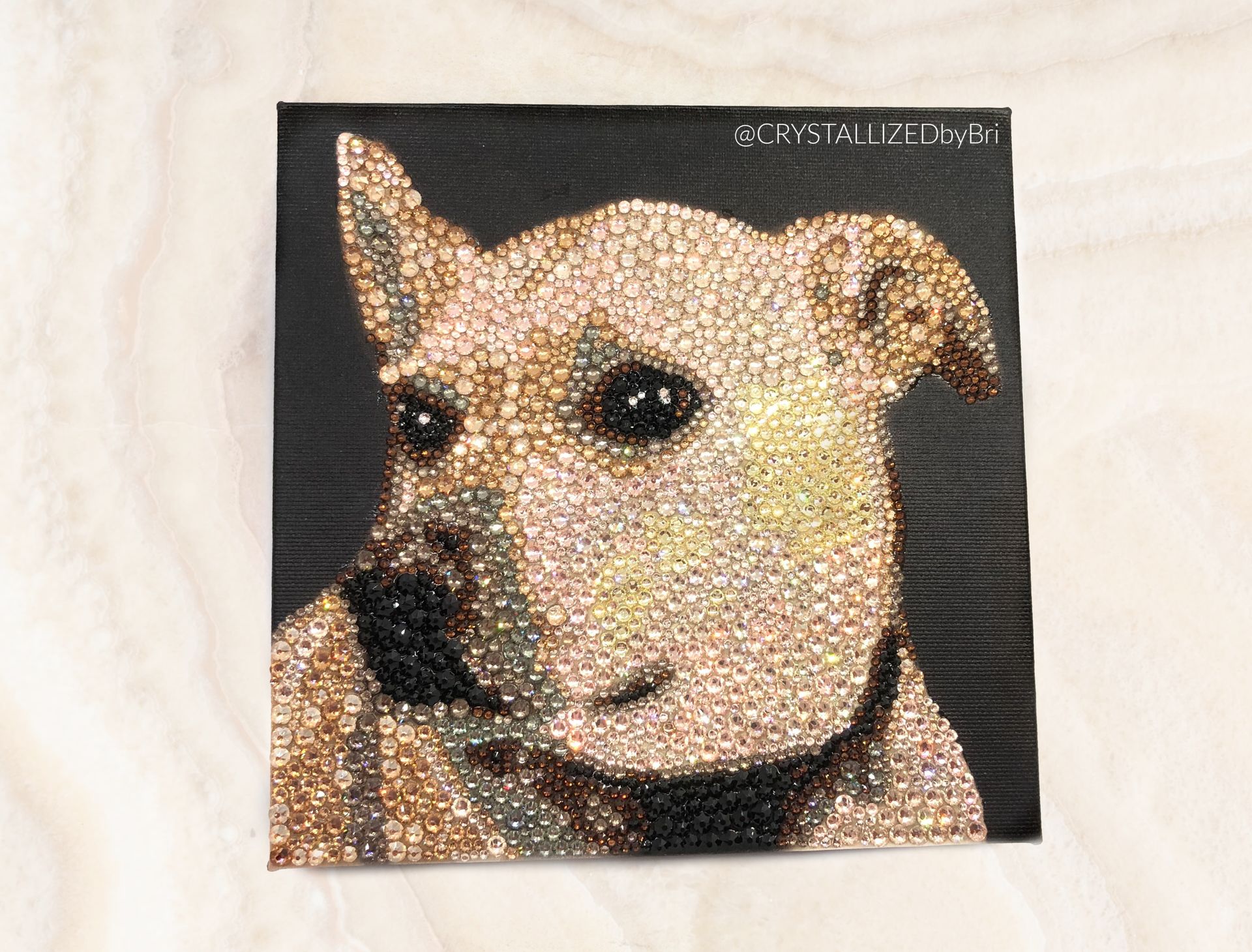 Custom Crystallized Pet Portrait Mini Dog Cat Animal Bling European Crystals 4