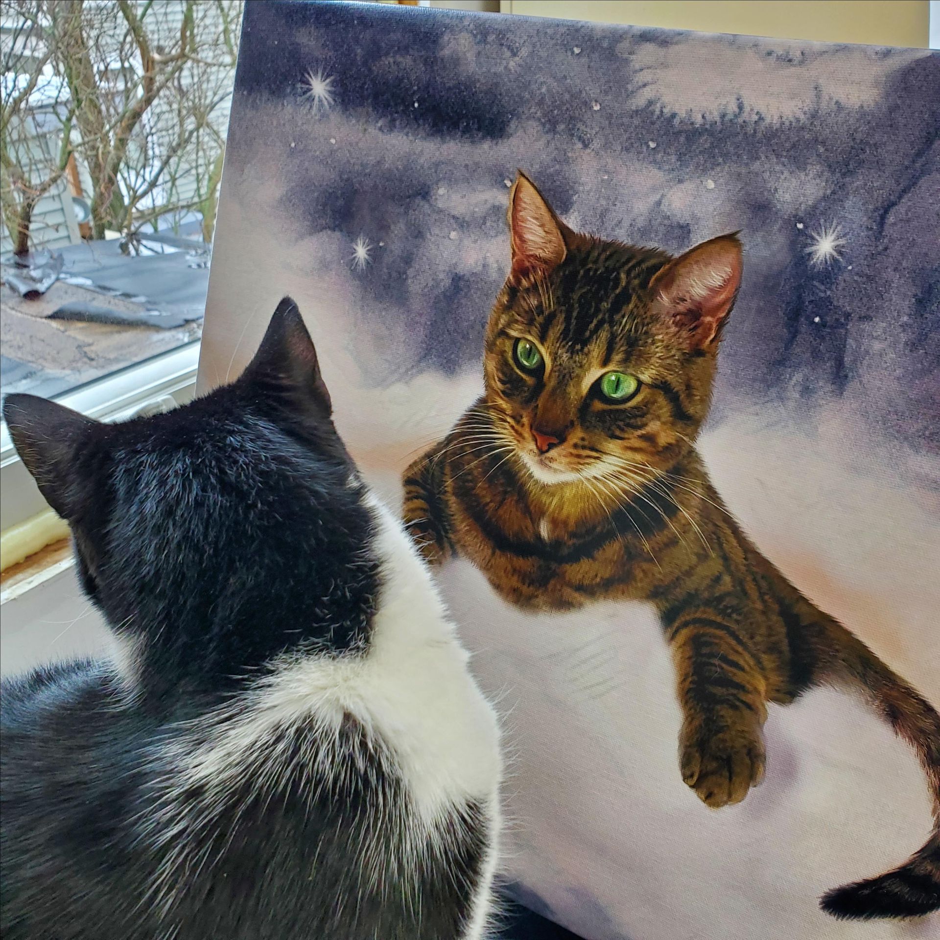 Realistic Custom Pet, Dog, Cat Portrait Painting On Canvas Or Archival Paper 5 