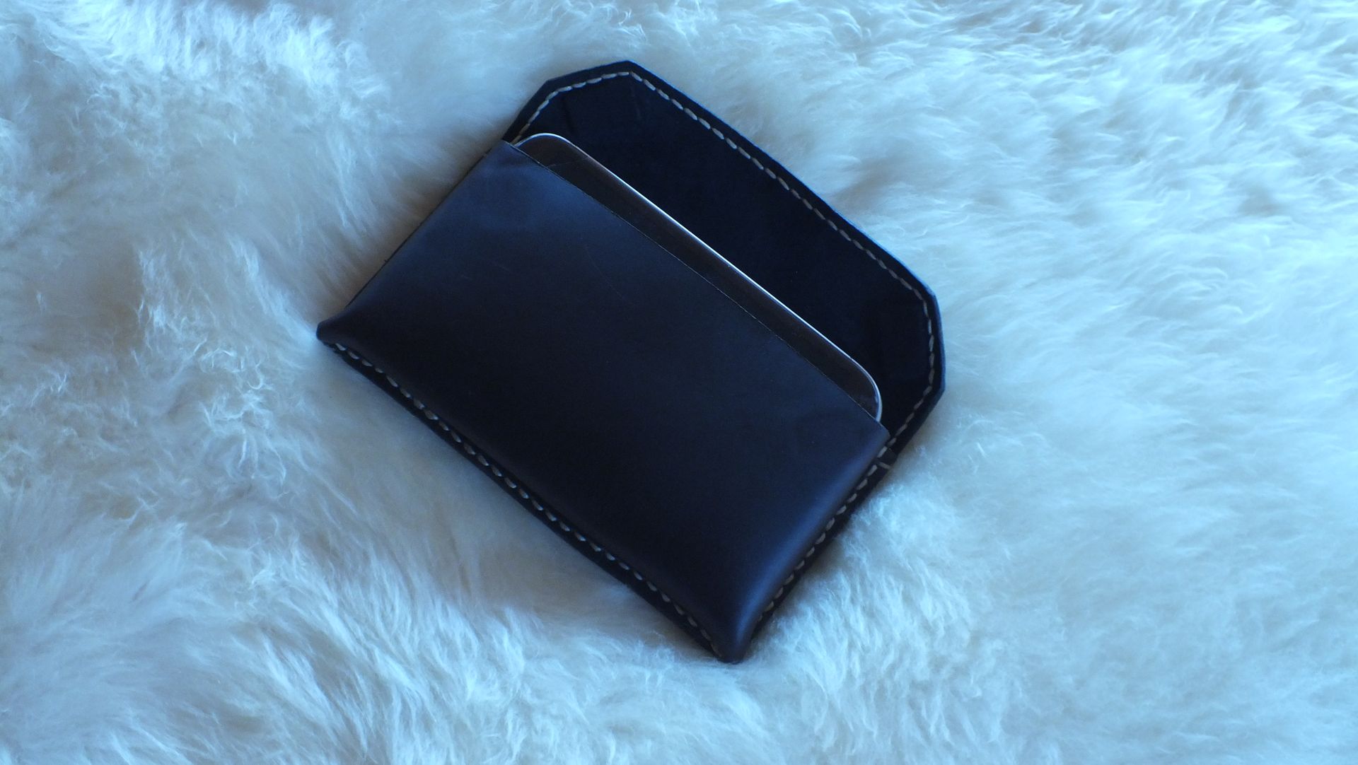 Horizonatal Cell Phone Case 1