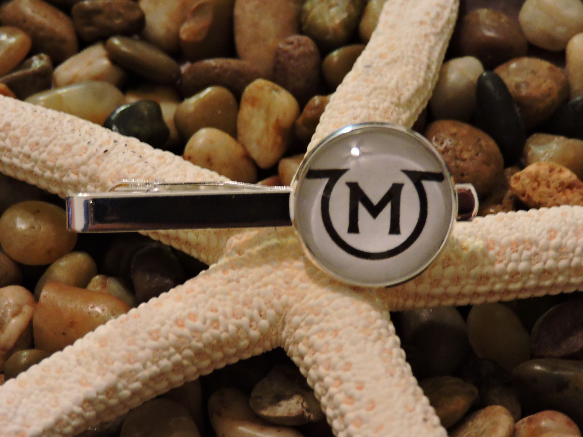 Custom 20mm Sterling Silver Plated Tie Clip 5 