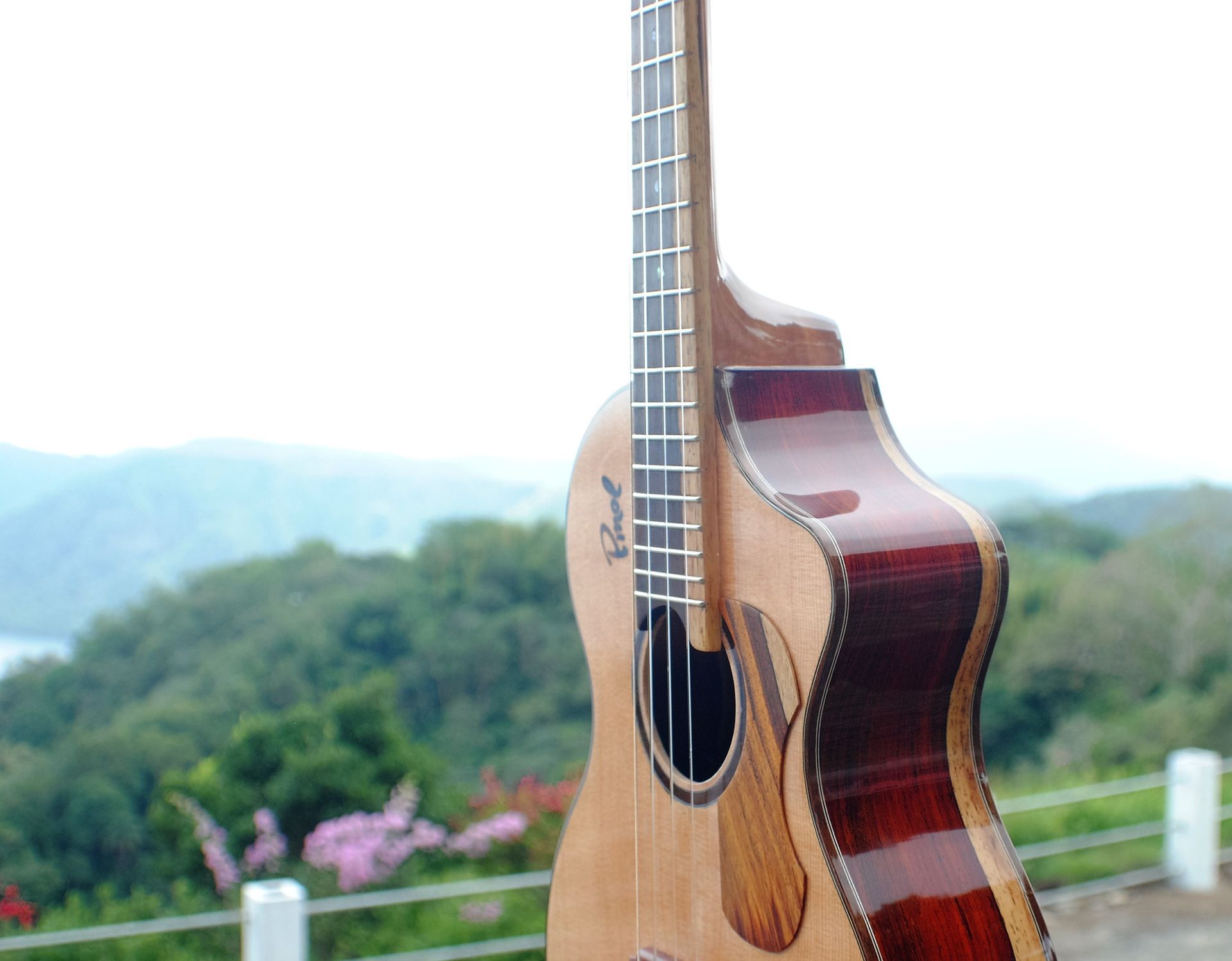 Pinol Guitars And Ukuleles Solid Cocobolo Rosewood Body/Mahogany Top ( Free Shipping) 2