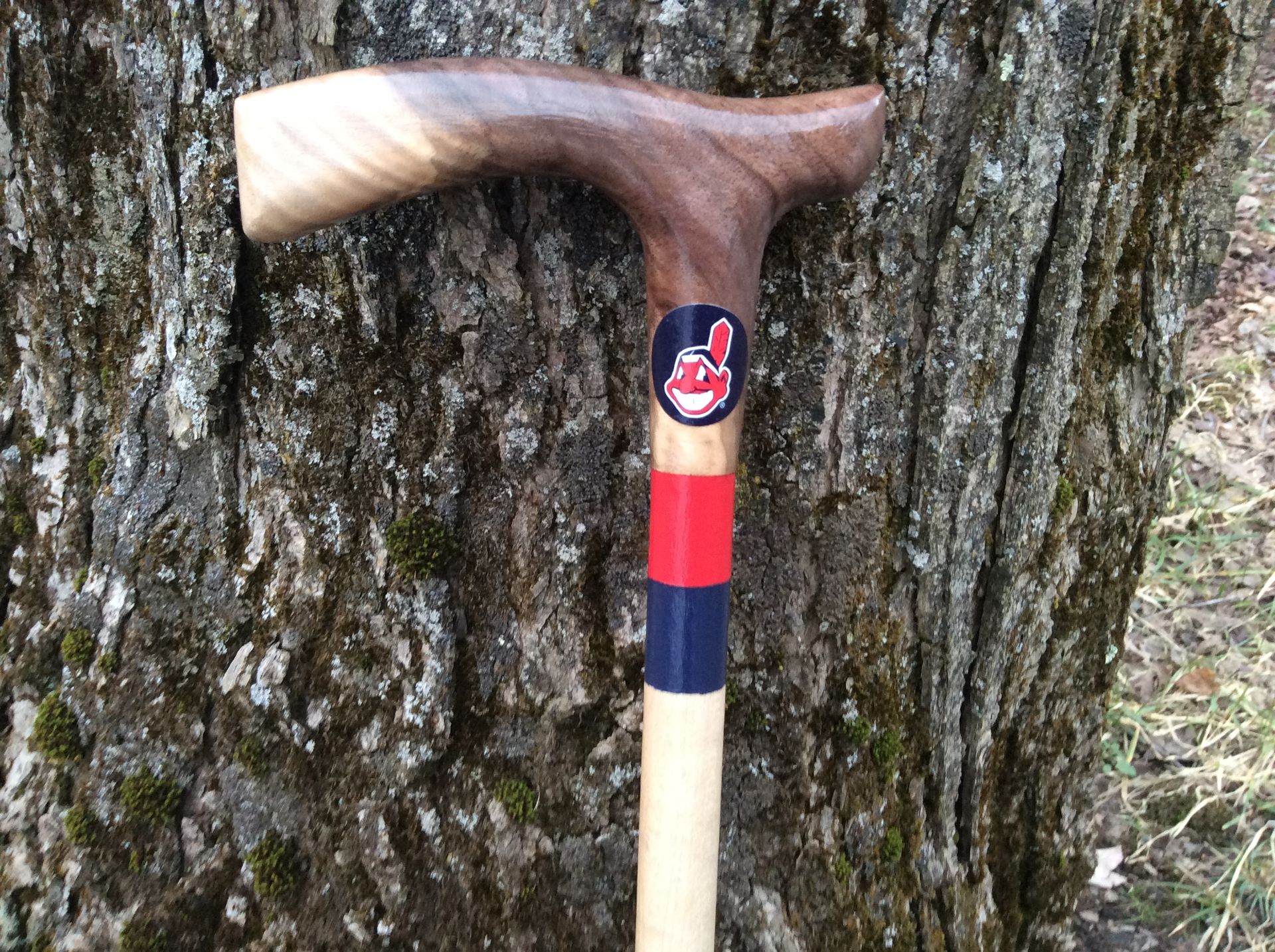 Sports Themed Walking Canes