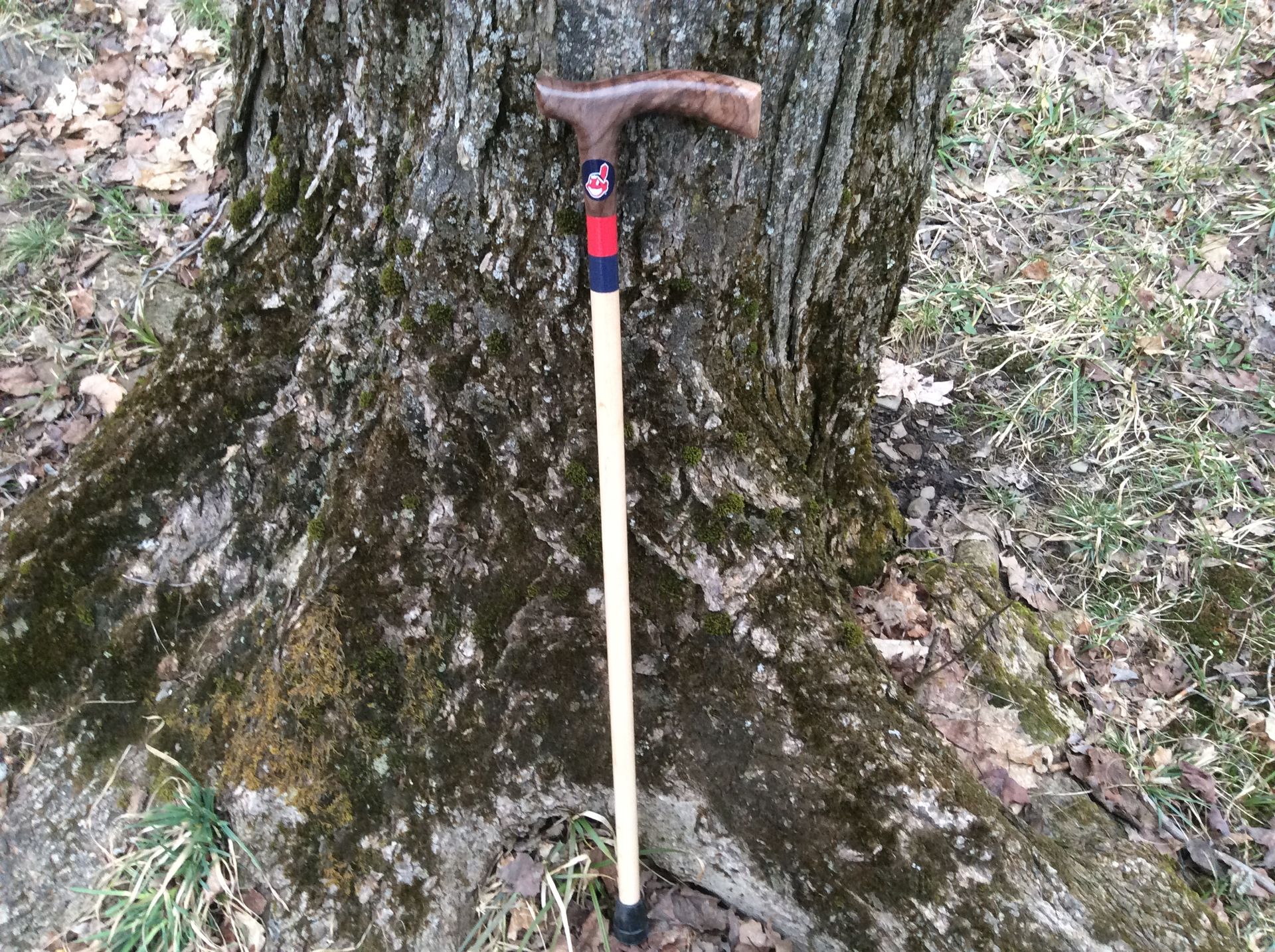 Sports Themed Walking Canes 2 