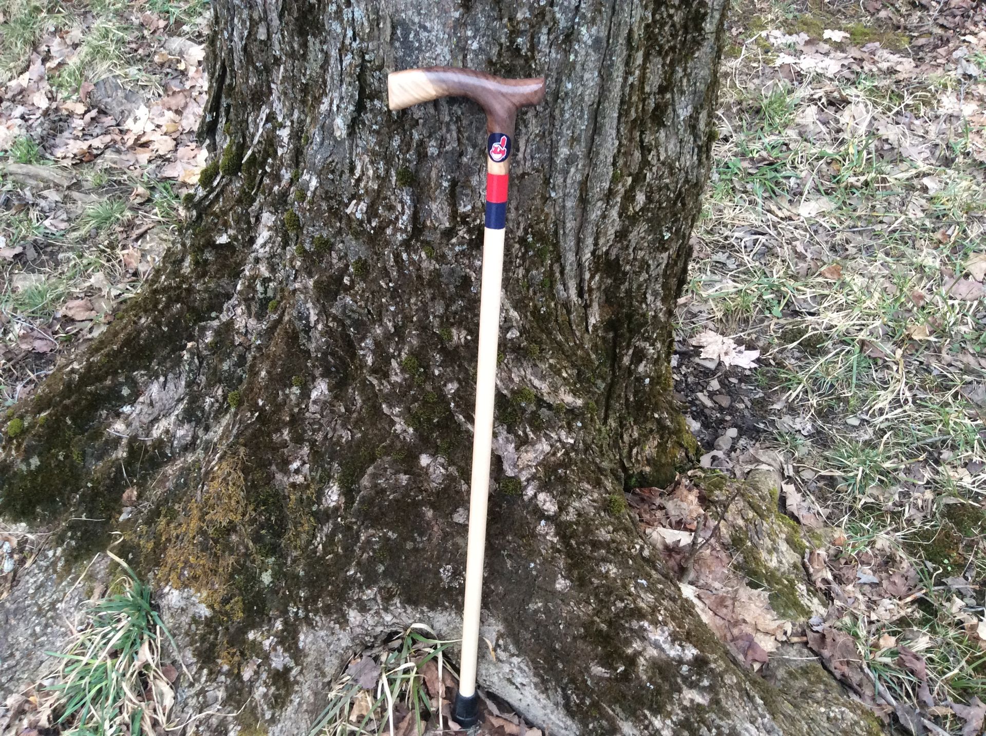 Sports Themed Walking Canes 3 