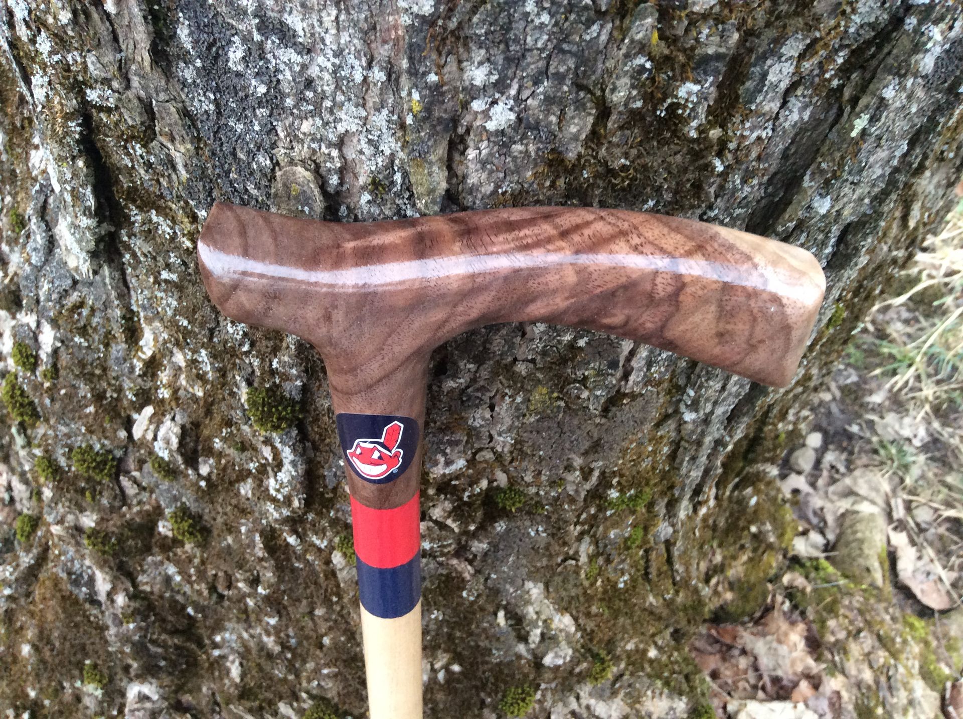 Sports Themed Walking Canes 4 