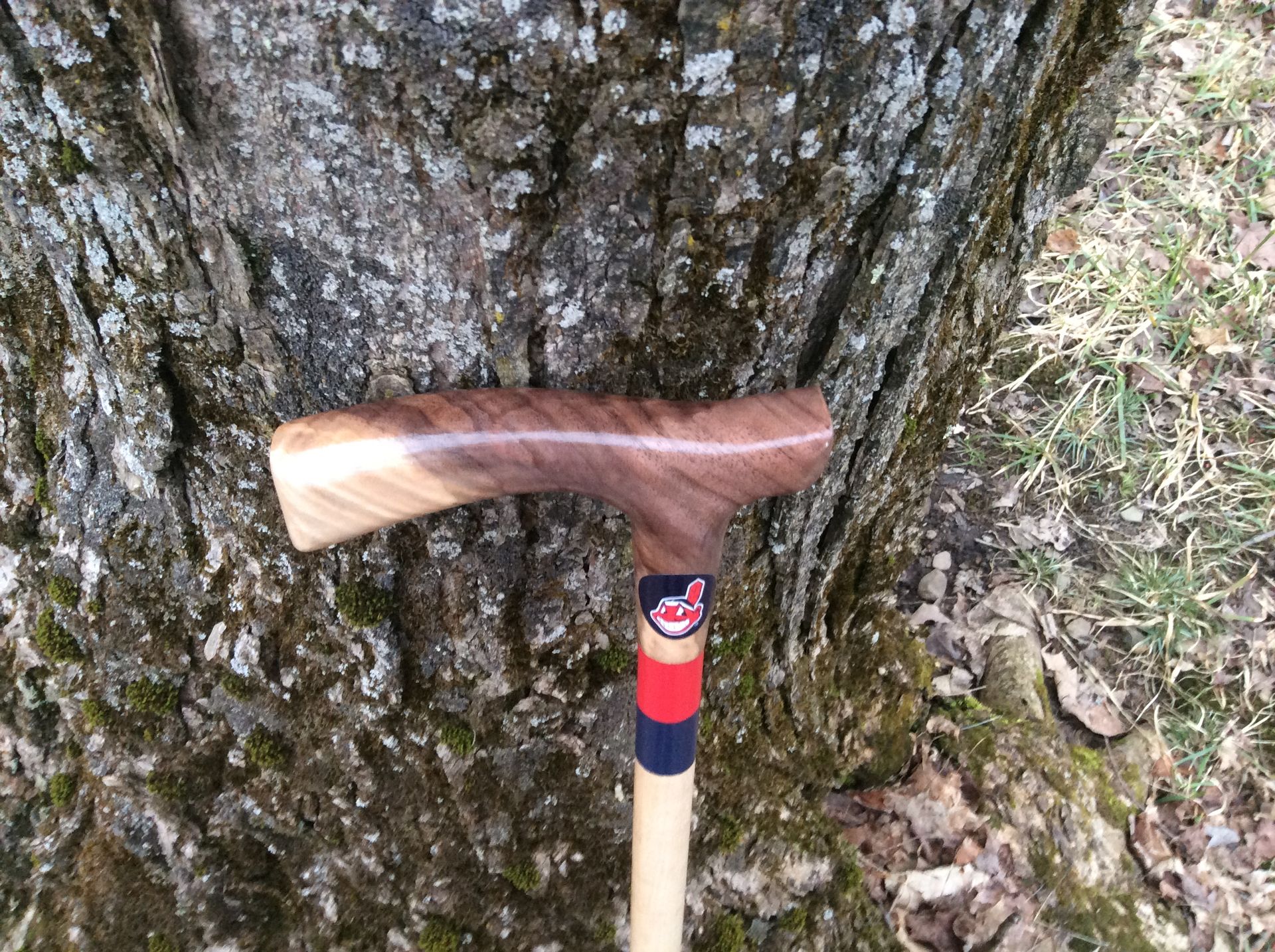 Sports Themed Walking Canes 5 