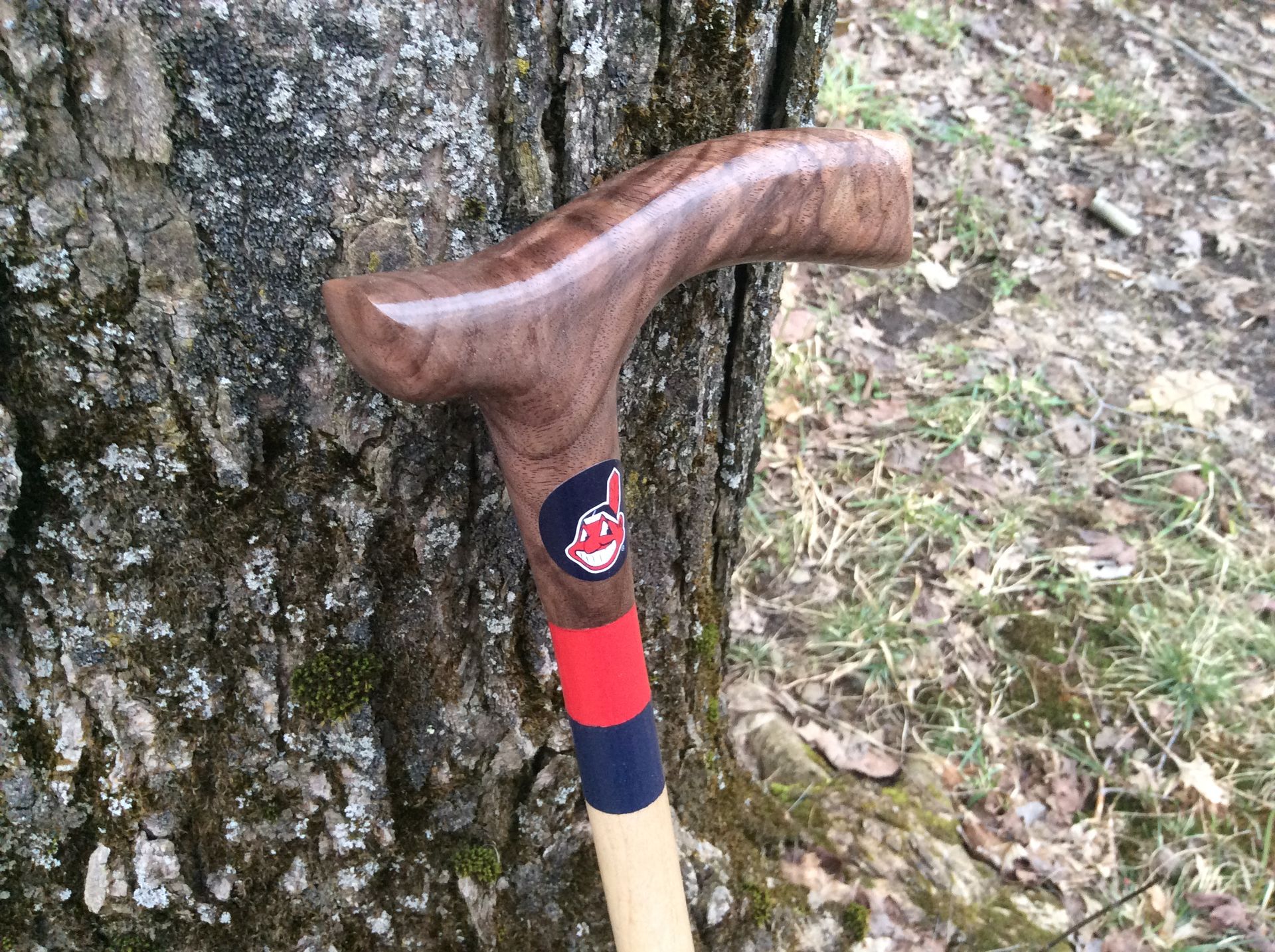 Sports Themed Walking Canes 6 