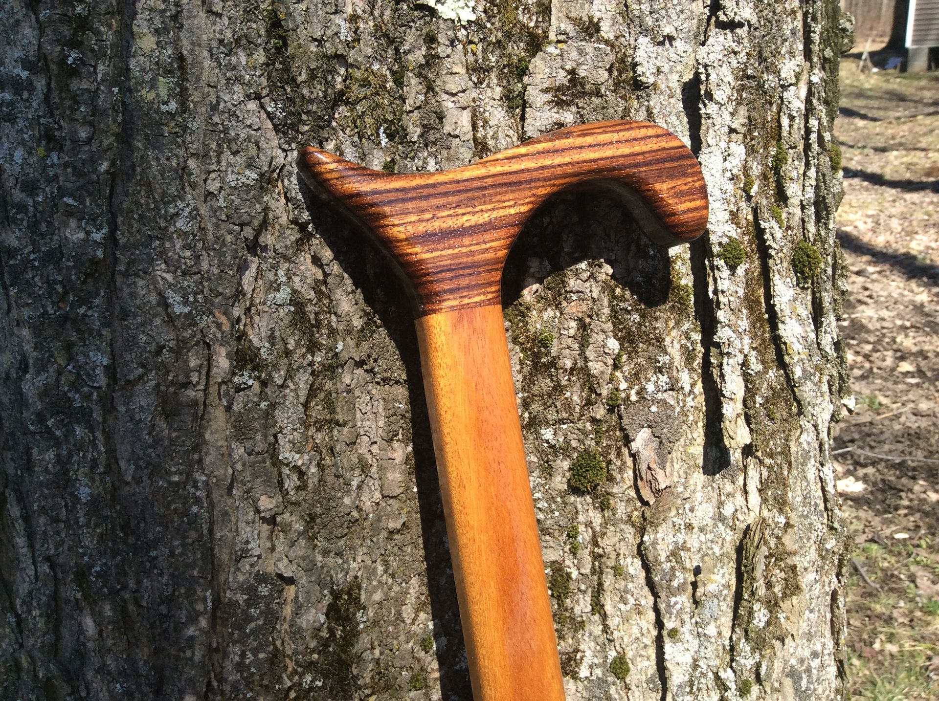 Exotic Zebrawood And Jatobawood Walking Cane 2