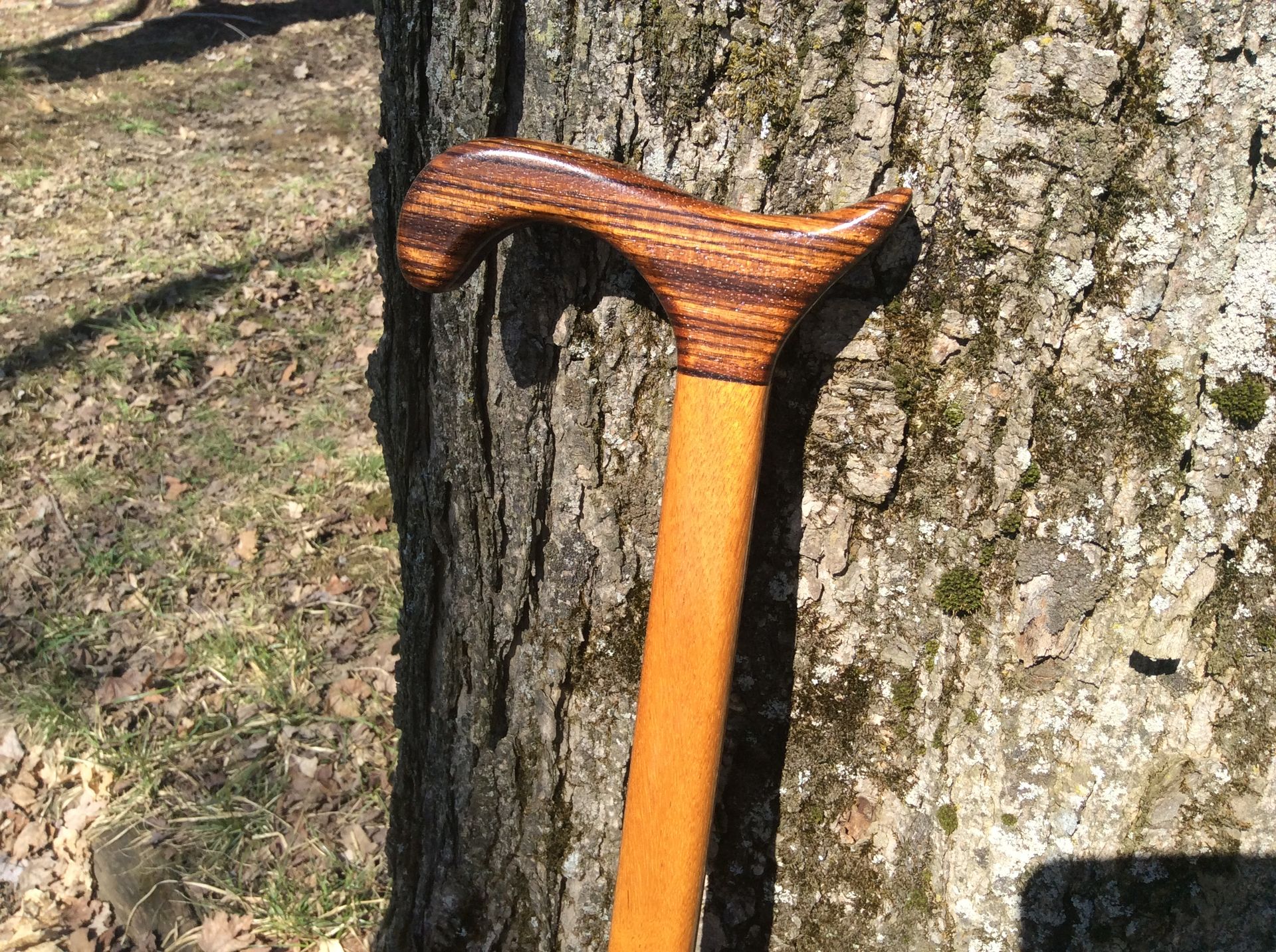 Exotic Zebrawood And Jatobawood Walking Cane 3