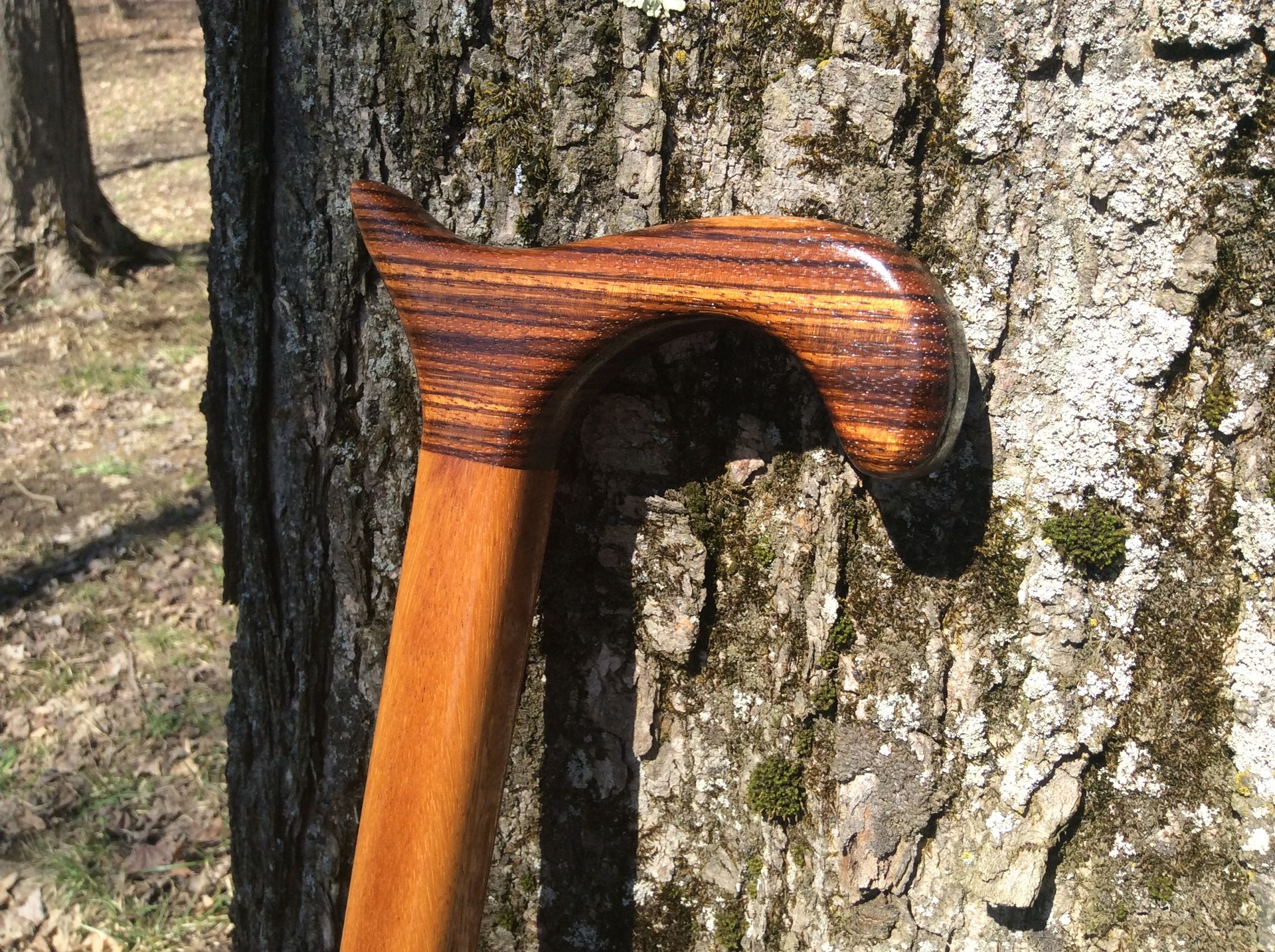Exotic Zebrawood And Jatobawood Walking Cane 5