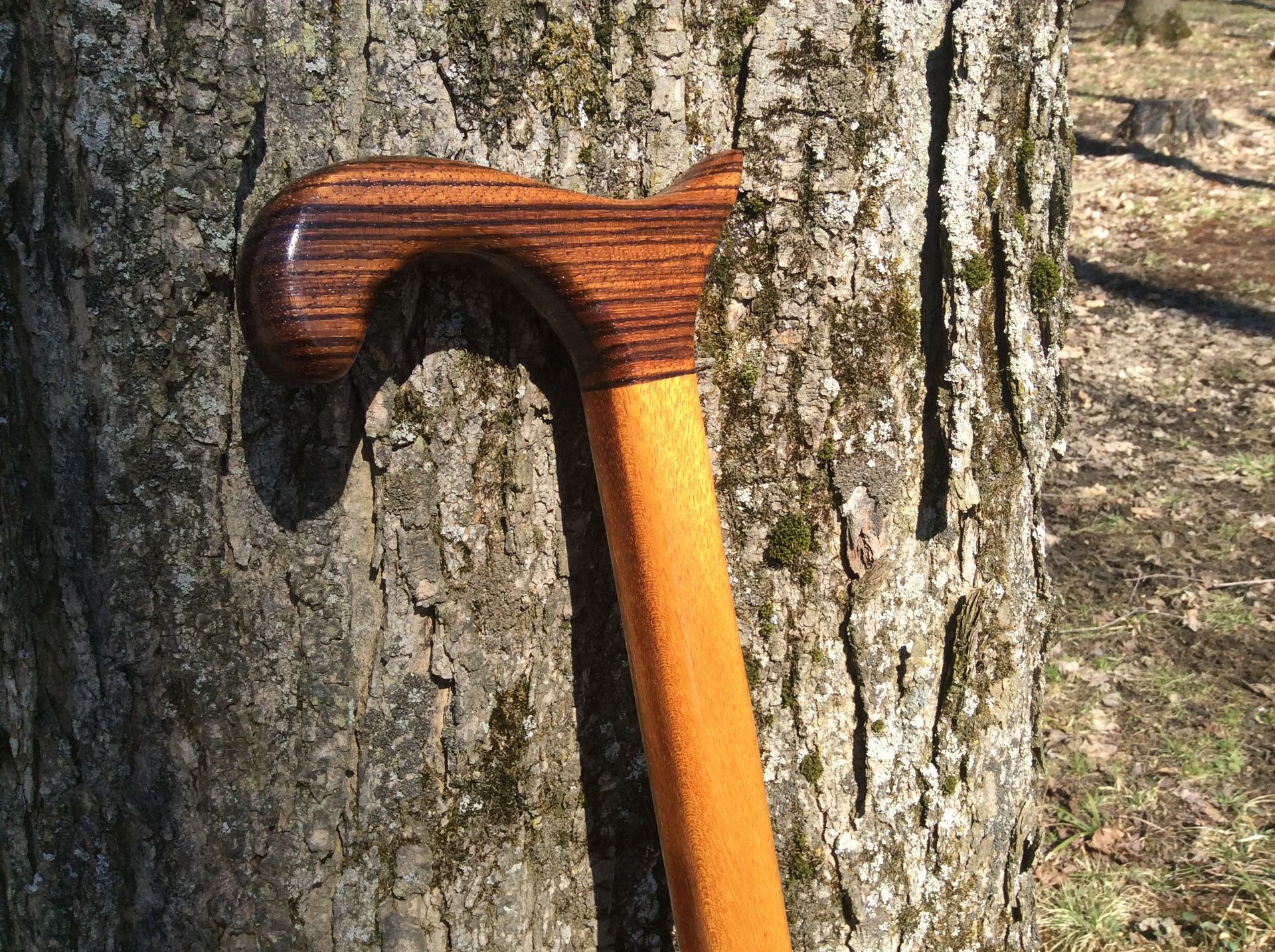 Exotic Zebrawood And Jatobawood Walking Cane 6