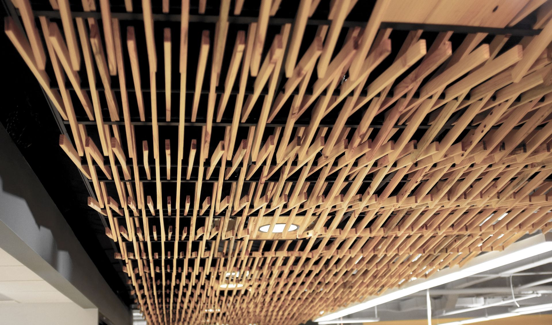 White Pine Slat Ceiling 3