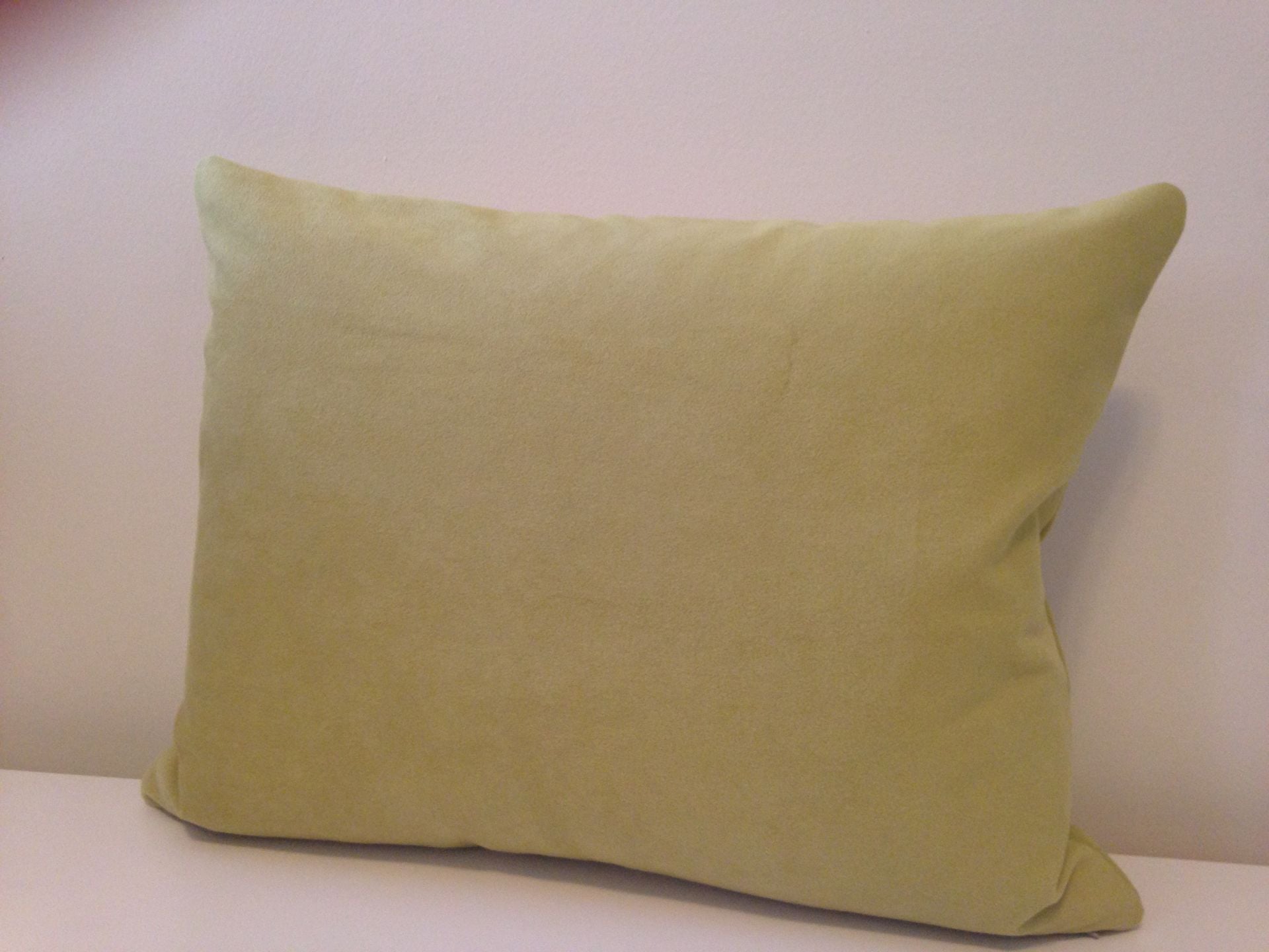 Watermelon Slice - Decorative Pillow 3