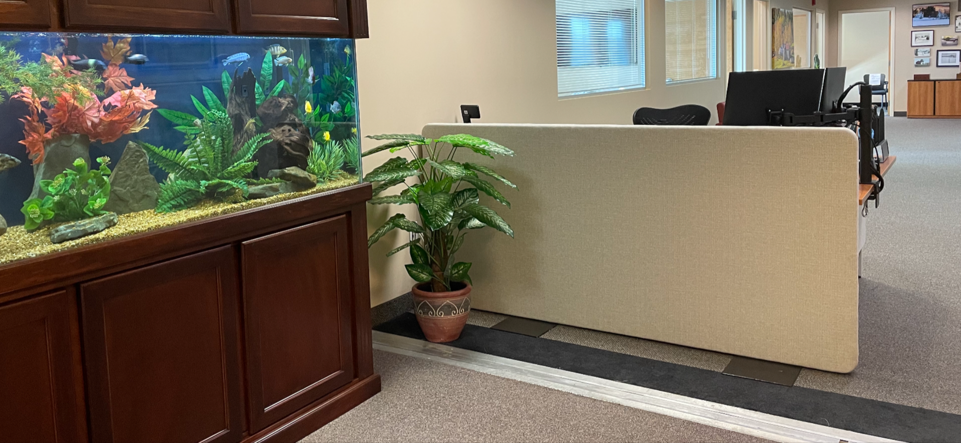 Wall Partition 2