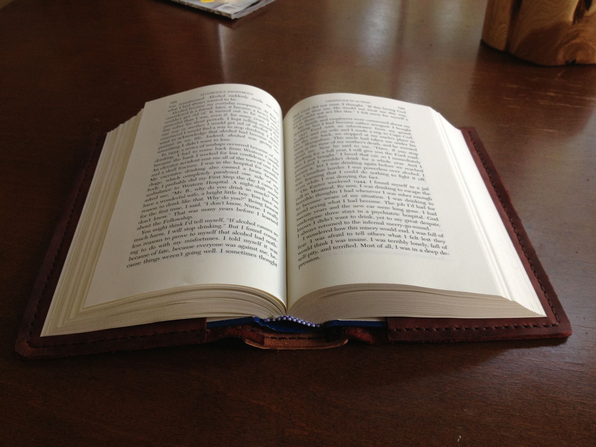 Leather Book Cover 4