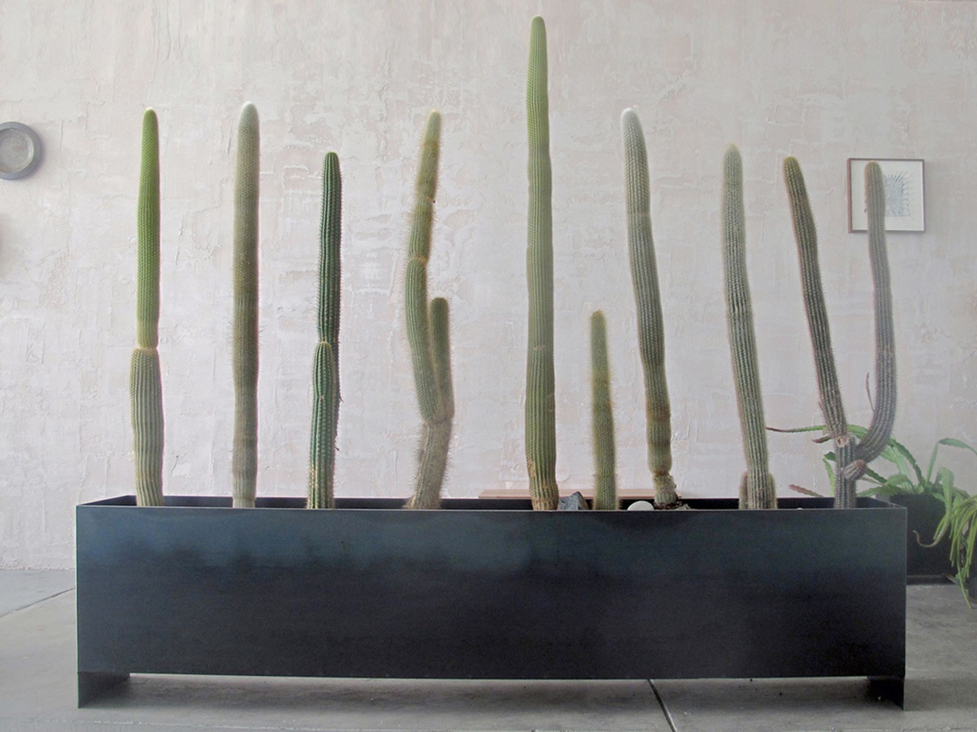 Raw Steel Planter Box