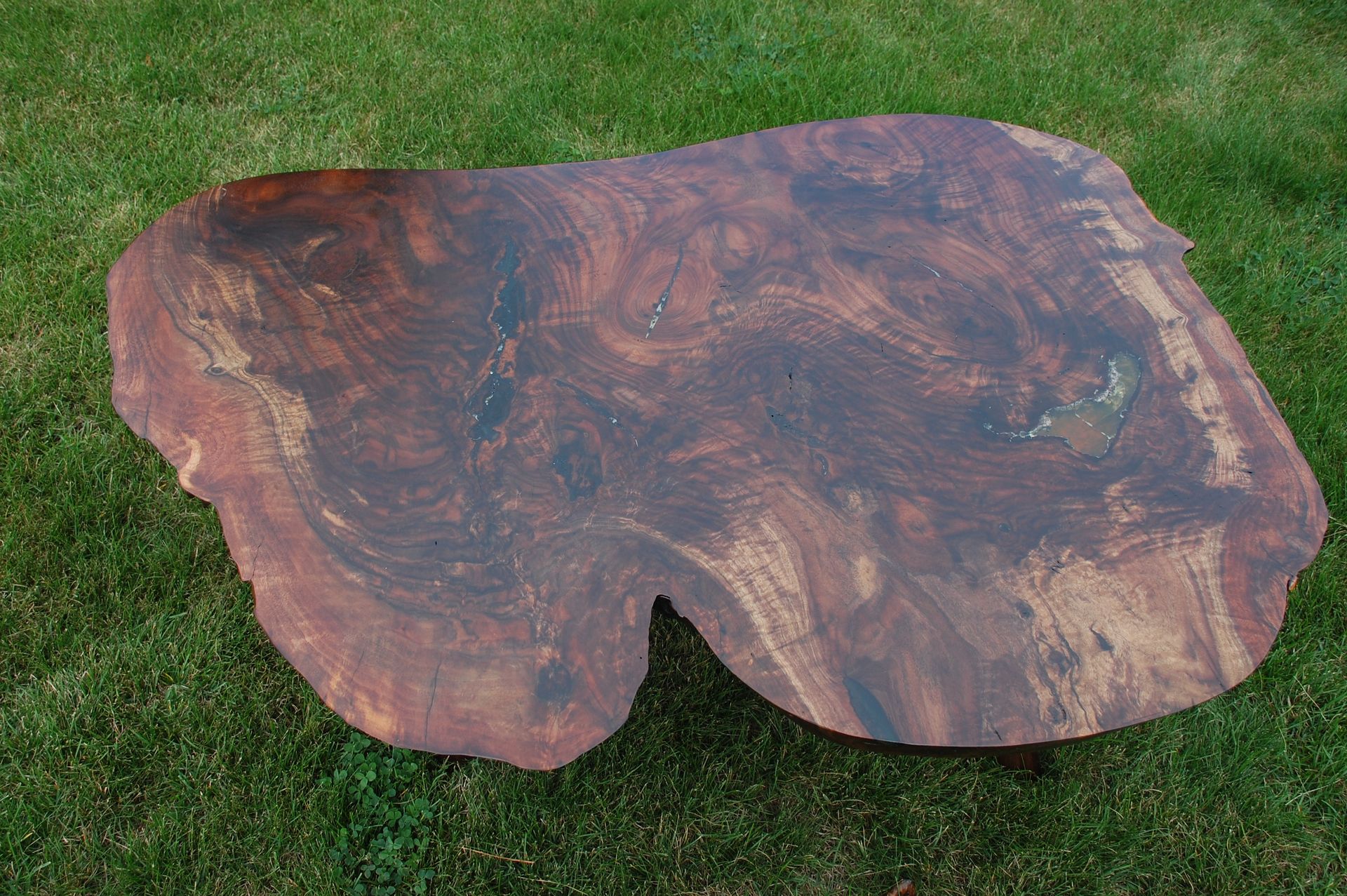 Live Edge Oregon Black Walnut Coffee Table Ii 3 