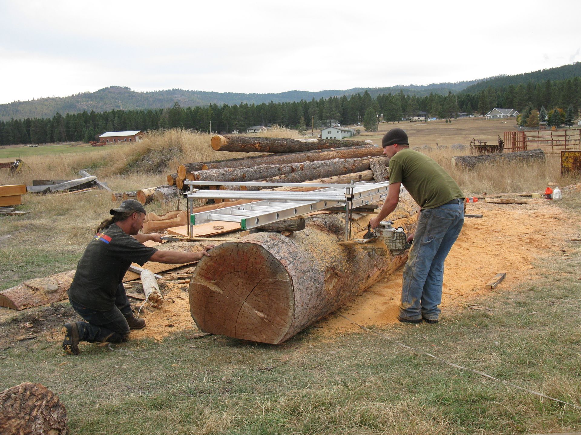 Raw Materials, Logs, Slabs,Barnwood, Fun Rusty Items 2 