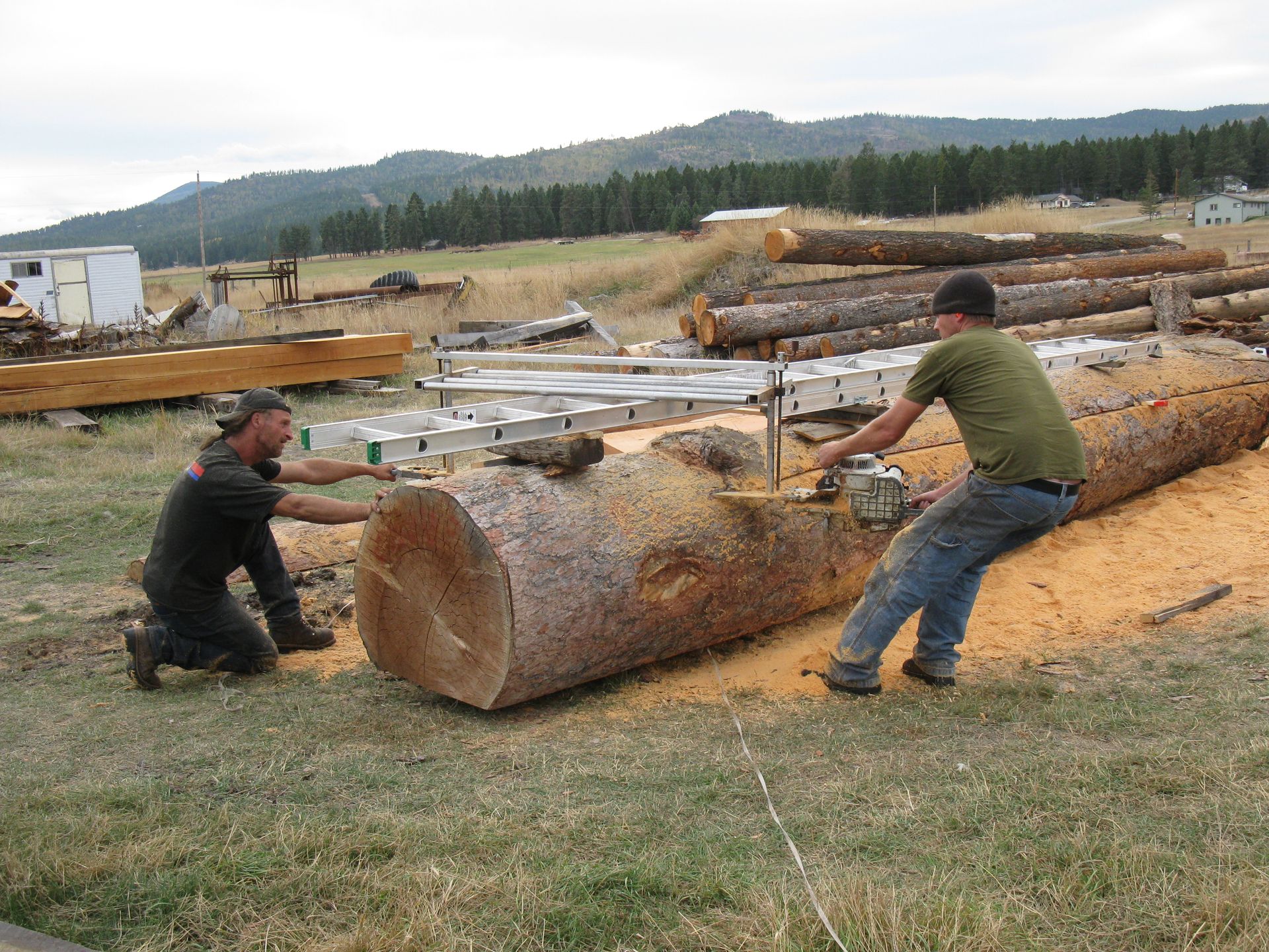 Raw Materials, Logs, Slabs,Barnwood, Fun Rusty Items 3 