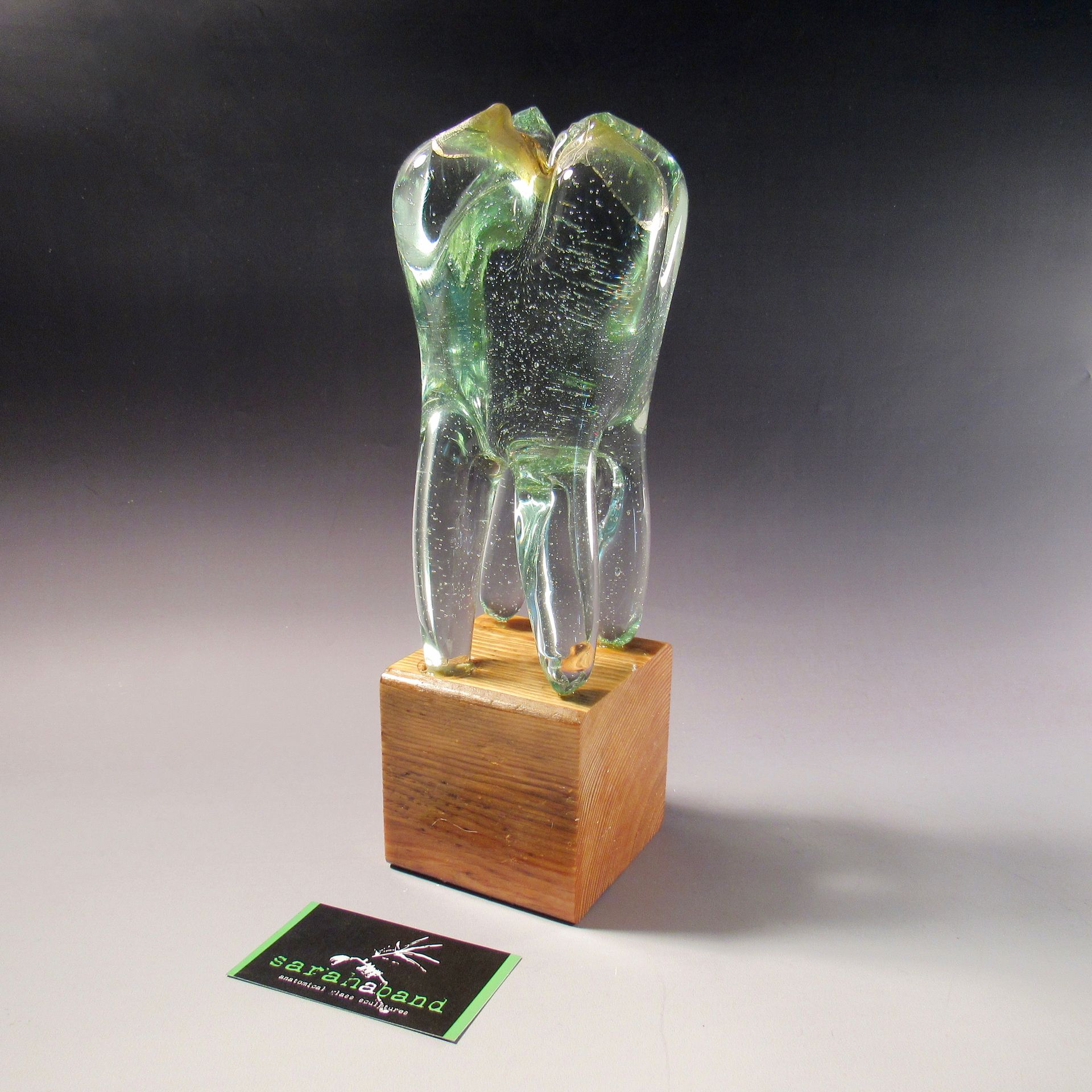 Solid Hand Blown Glass Wisdom Tooth 2