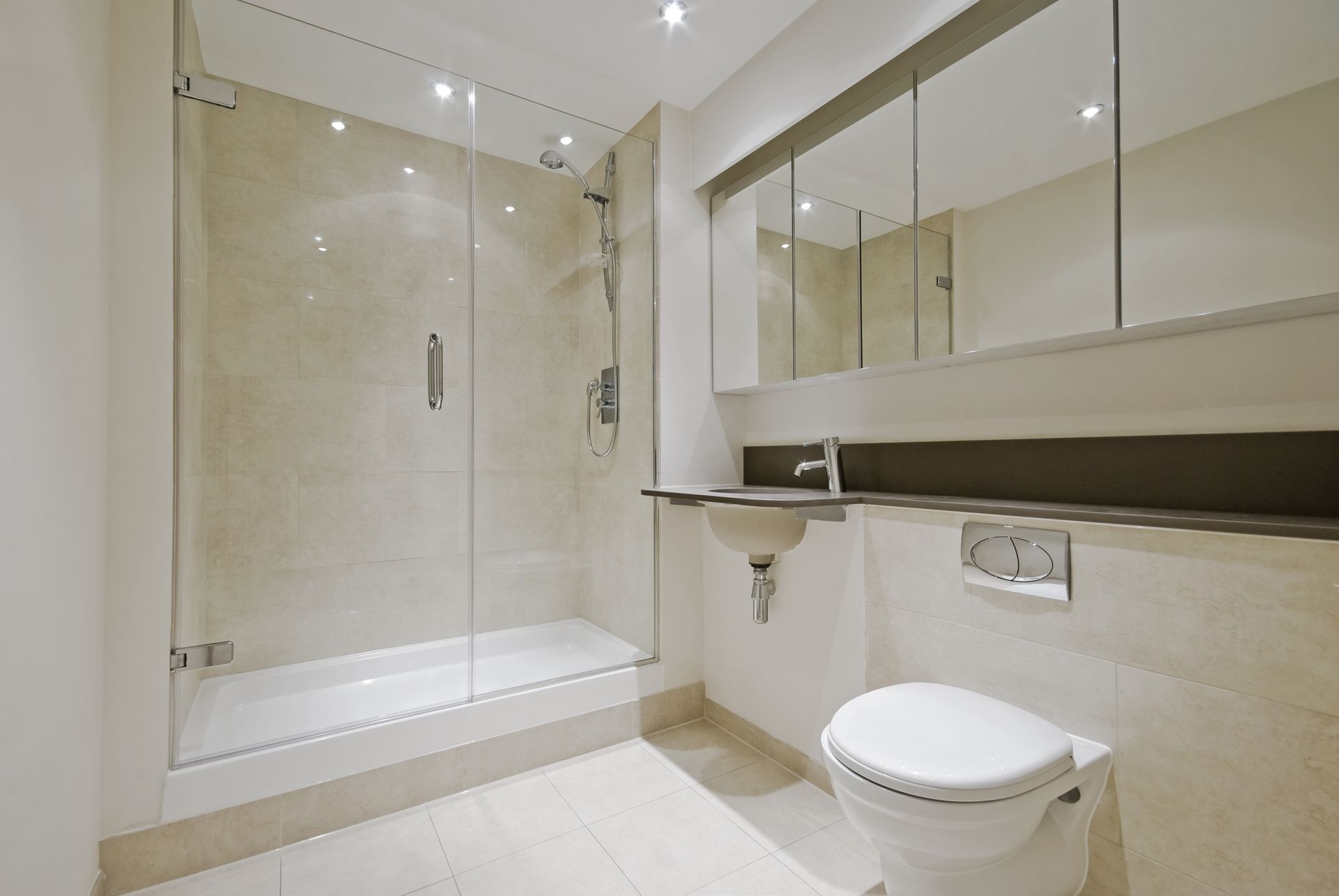 Shower Doors 3 6