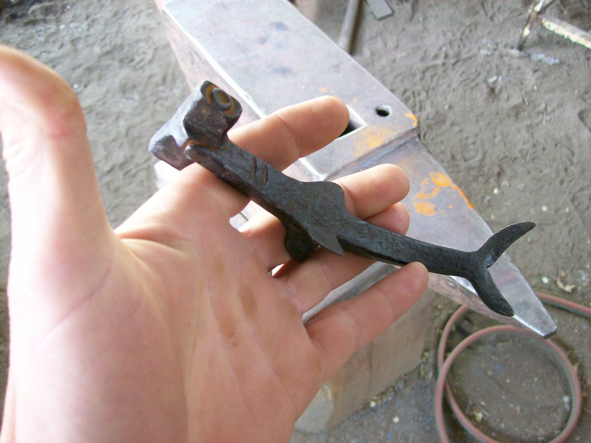 Hammer Head Shark